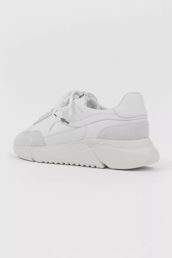 Genesis Stripe Bee Vogel Witte Axel Arigato