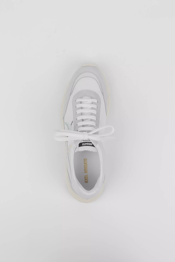 Genesis Stripe Bee Vogel Witte Axel Arigato